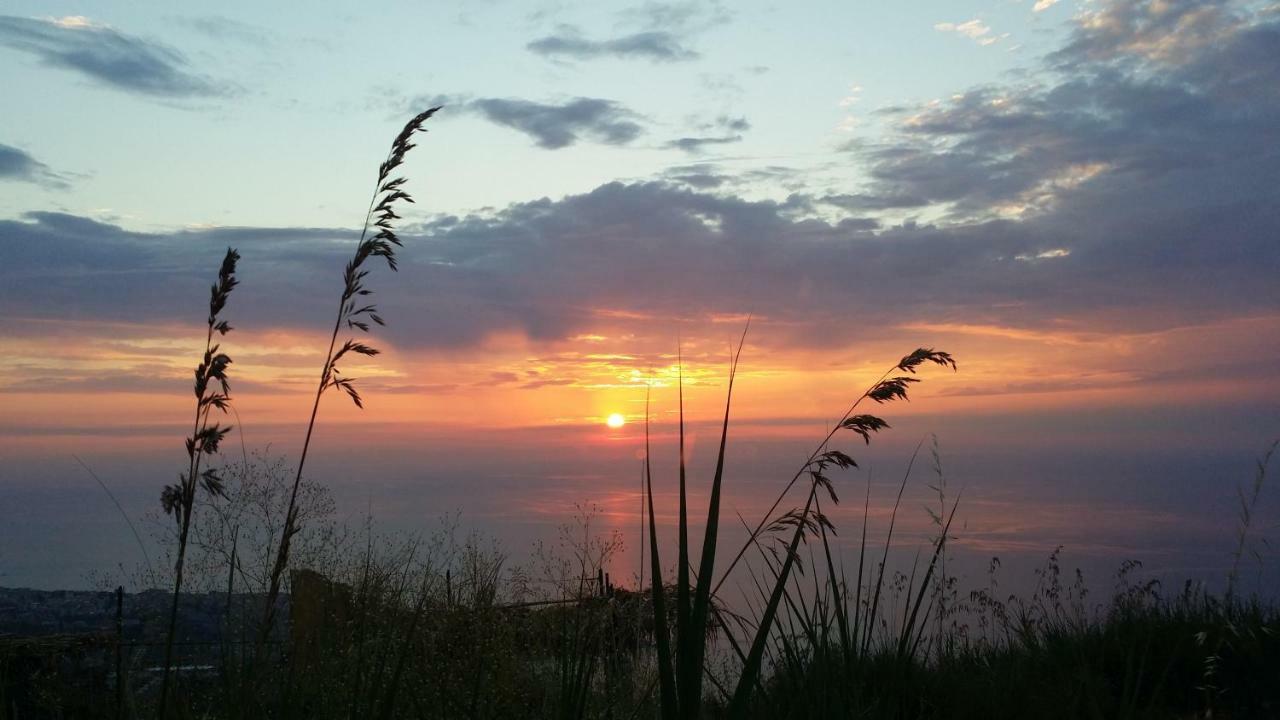 B&B Villa Eleonora Tropea Le Pioppe 외부 사진